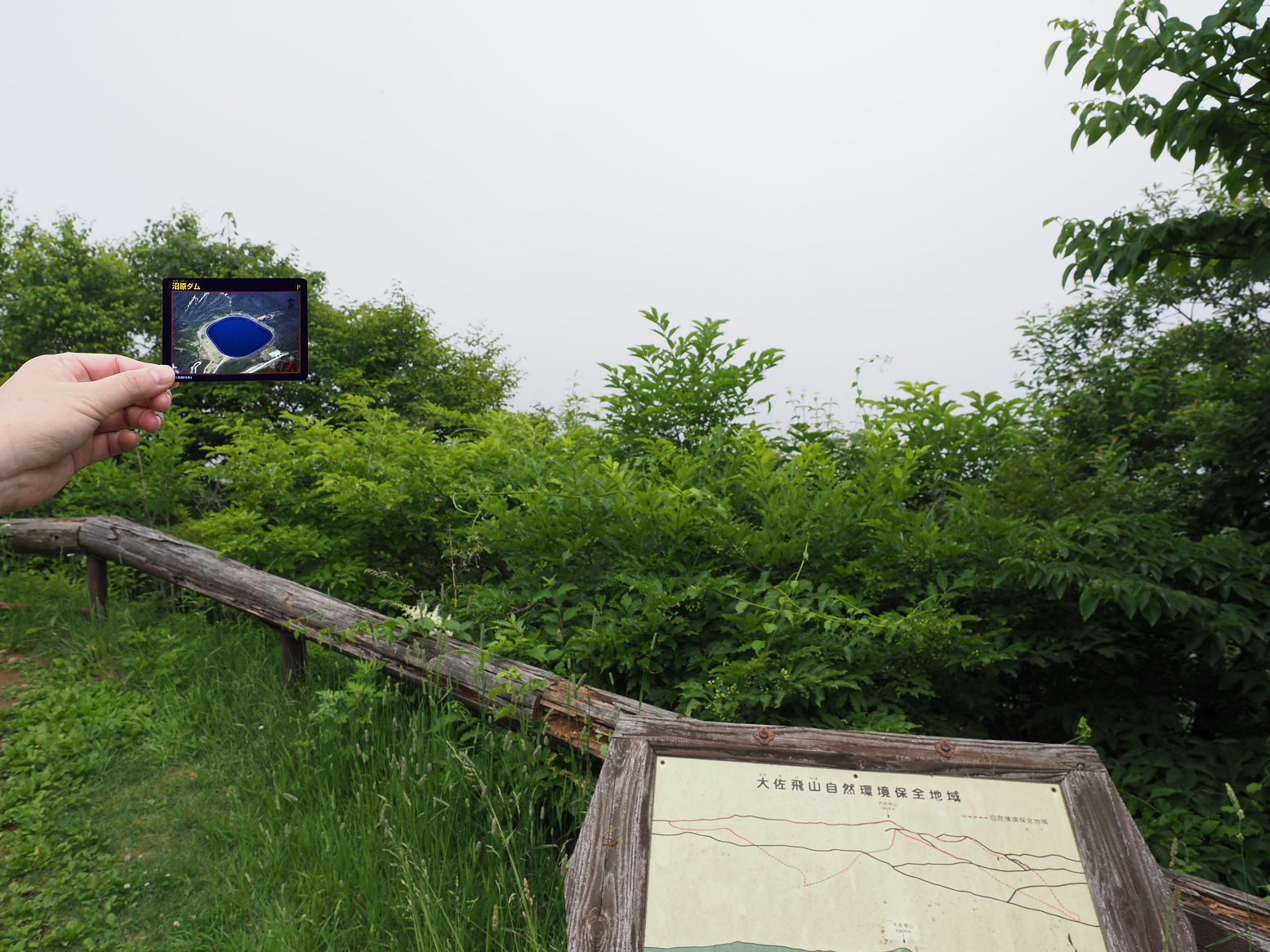 P7140385.jpg