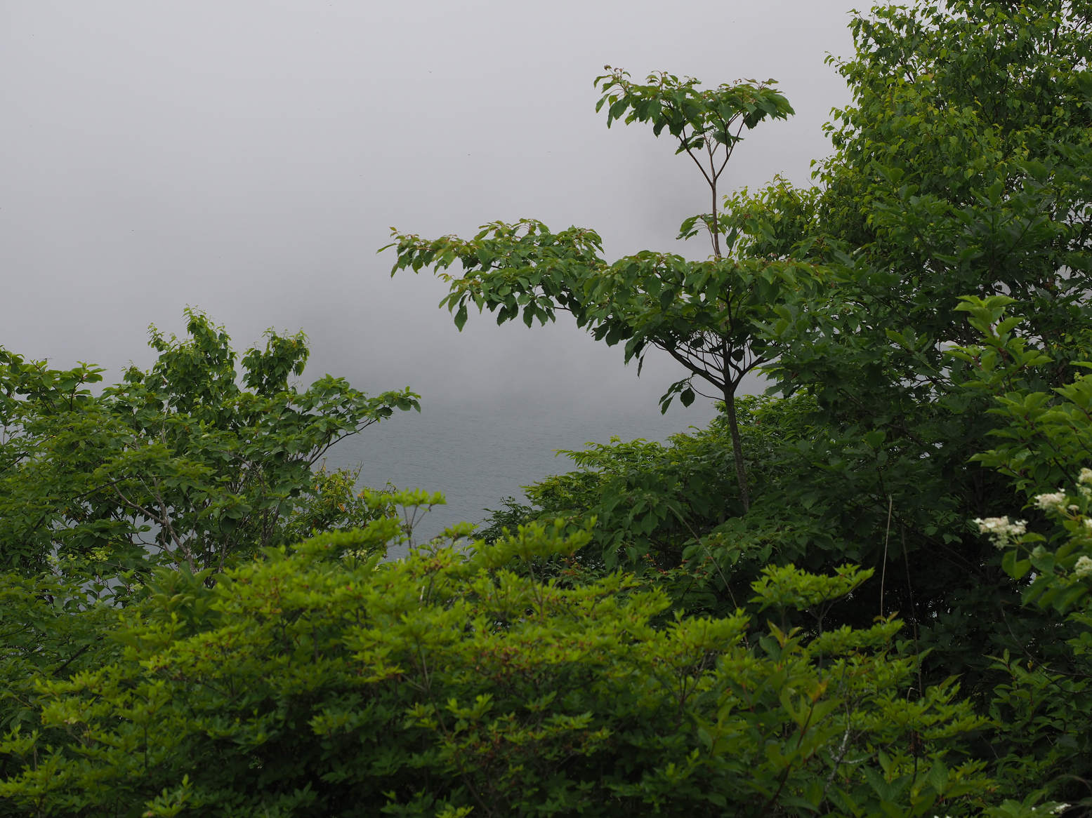 P7140386.jpg