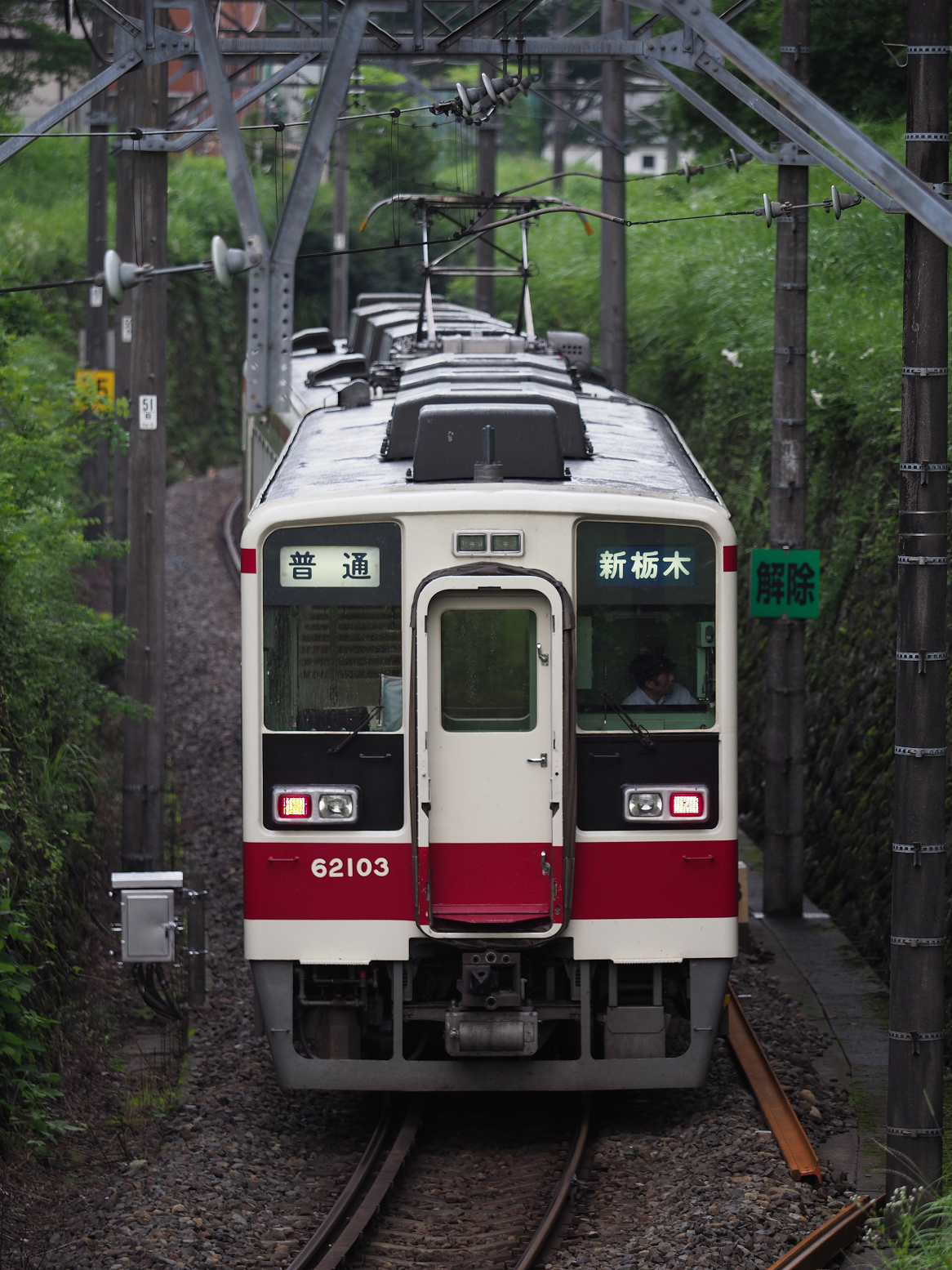 P7140446.jpg