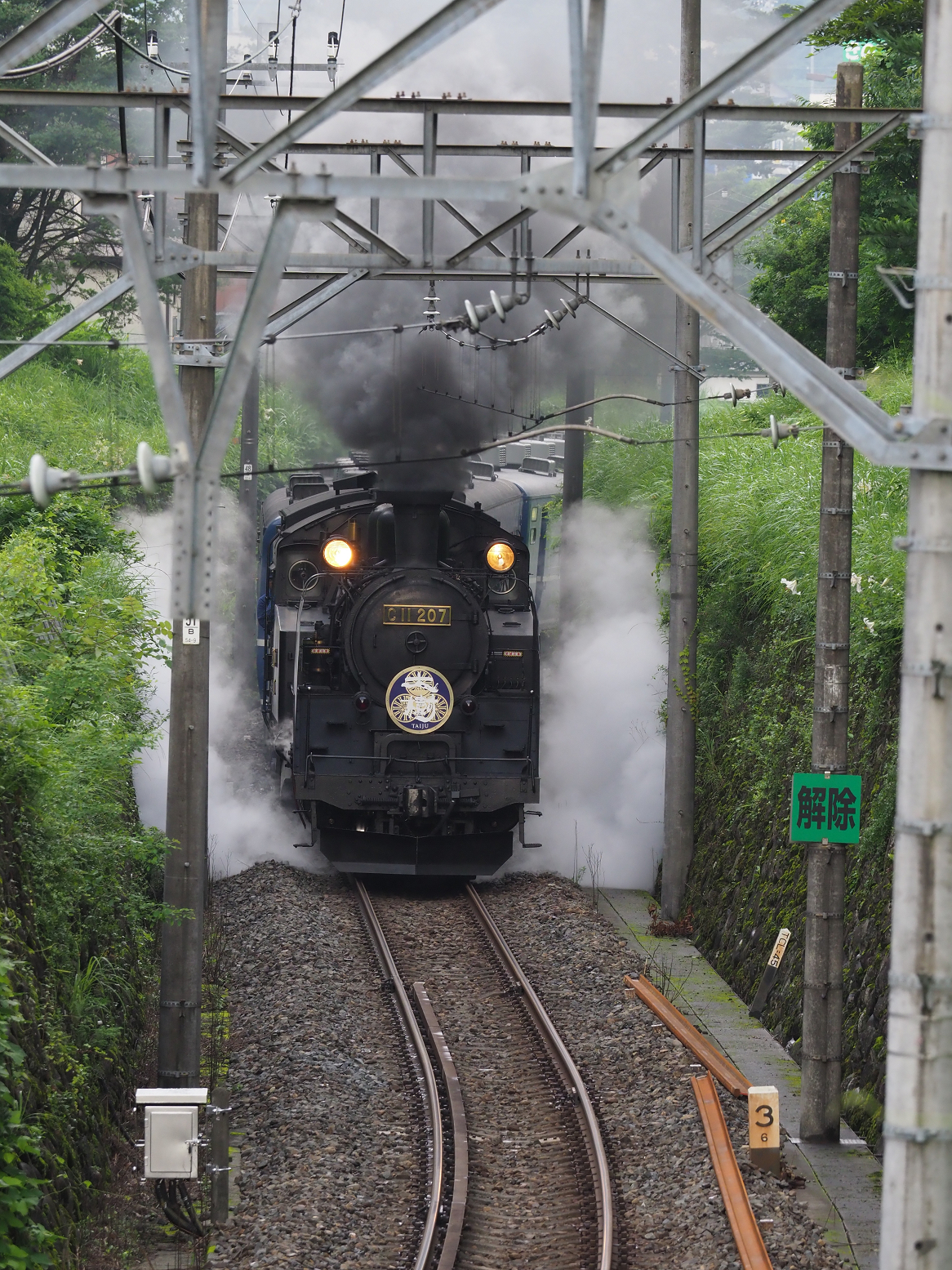 P7140491.jpg