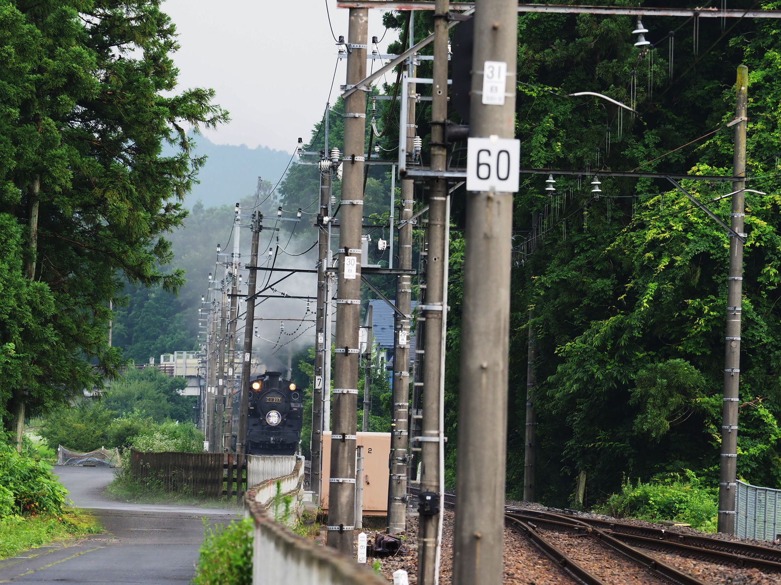 P7140531.jpg