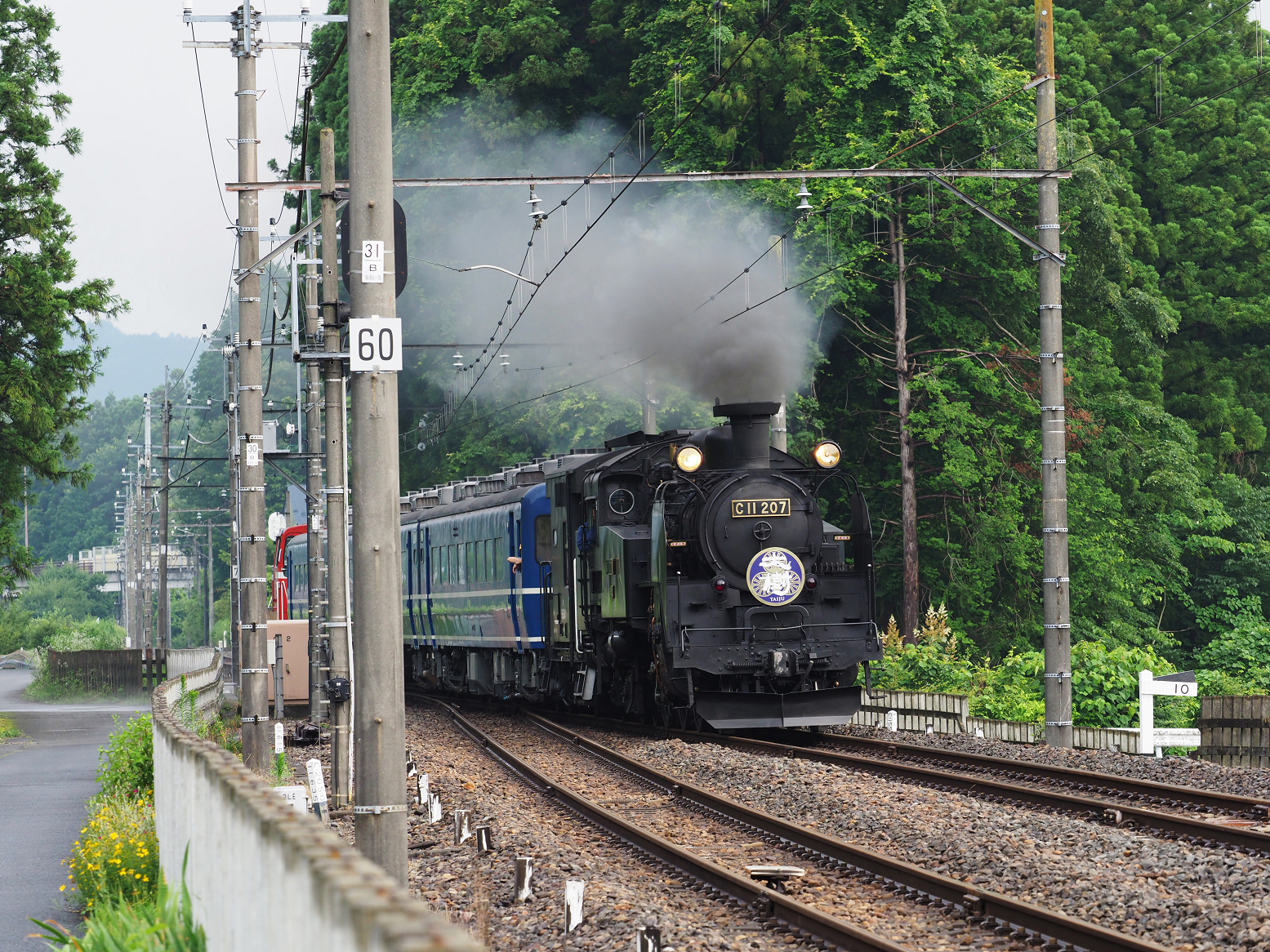 P7140538.jpg