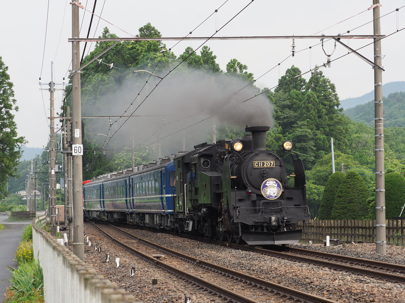 P7140542.jpg