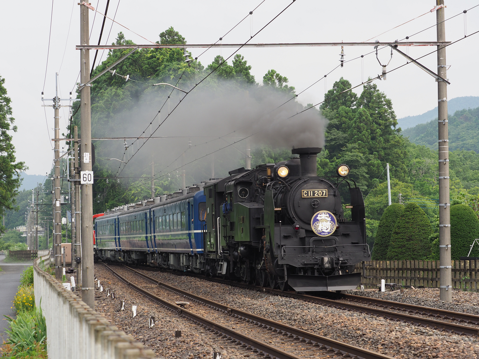 P7140544.jpg