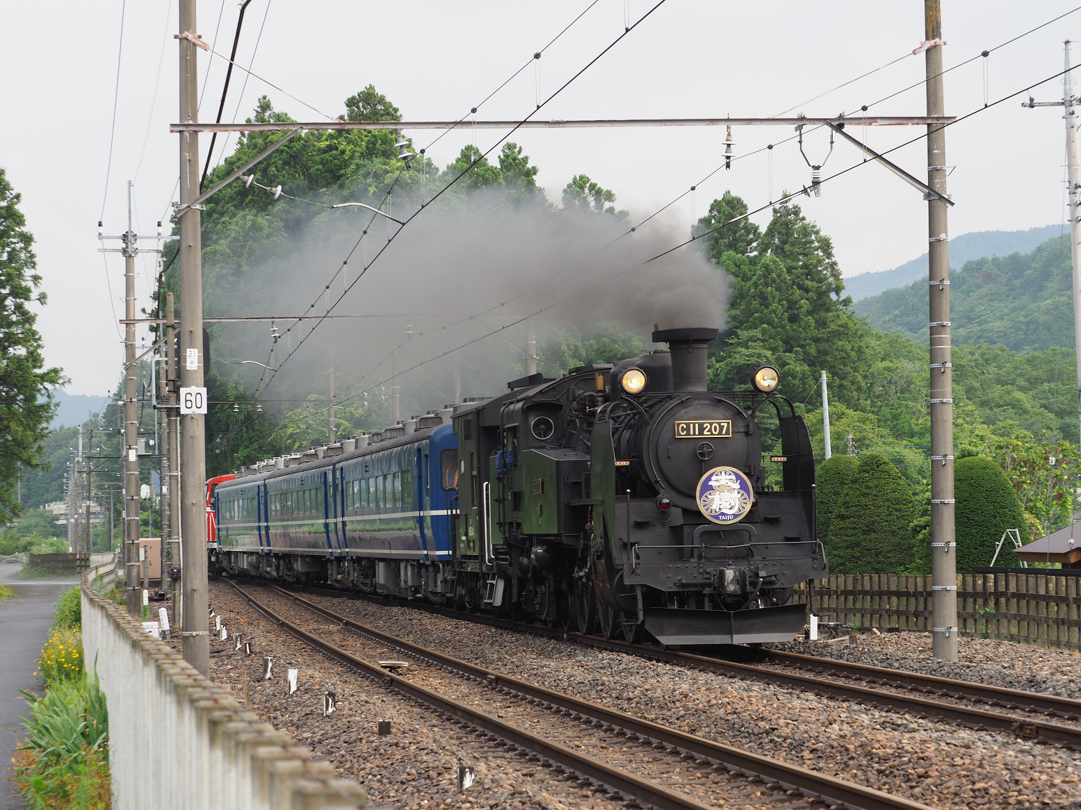 P7140548.jpg