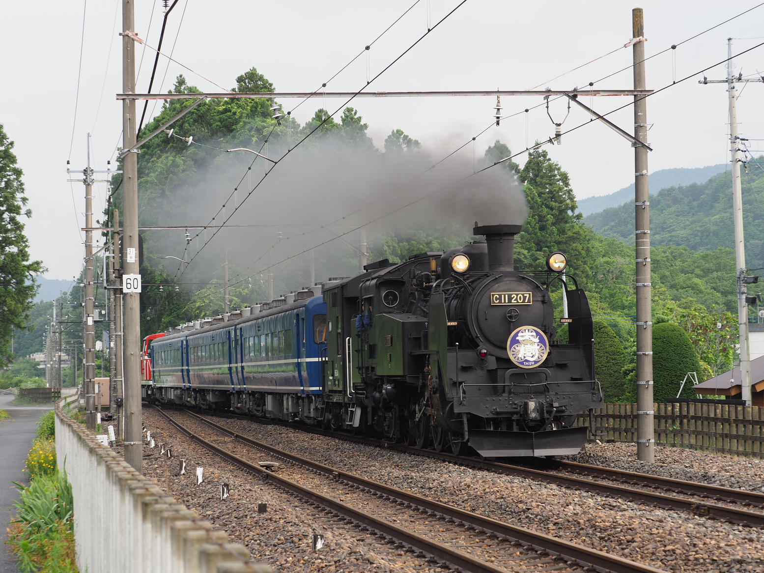 P7140553.jpg