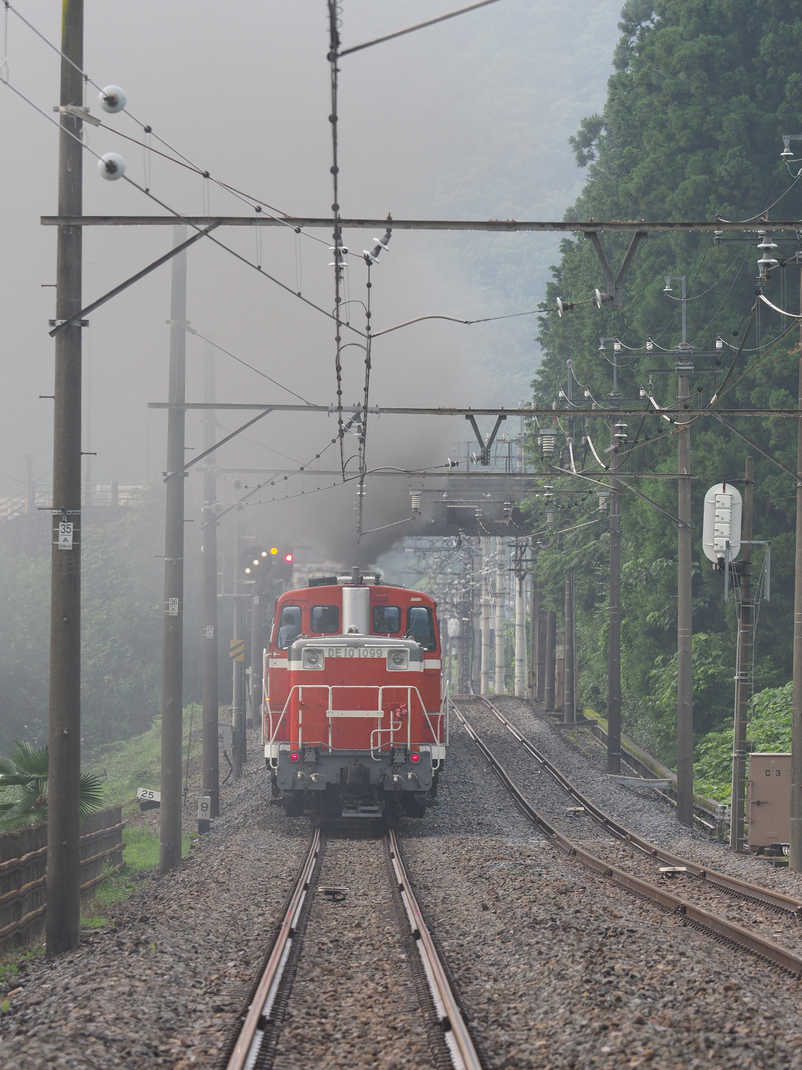 P7140594.jpg
