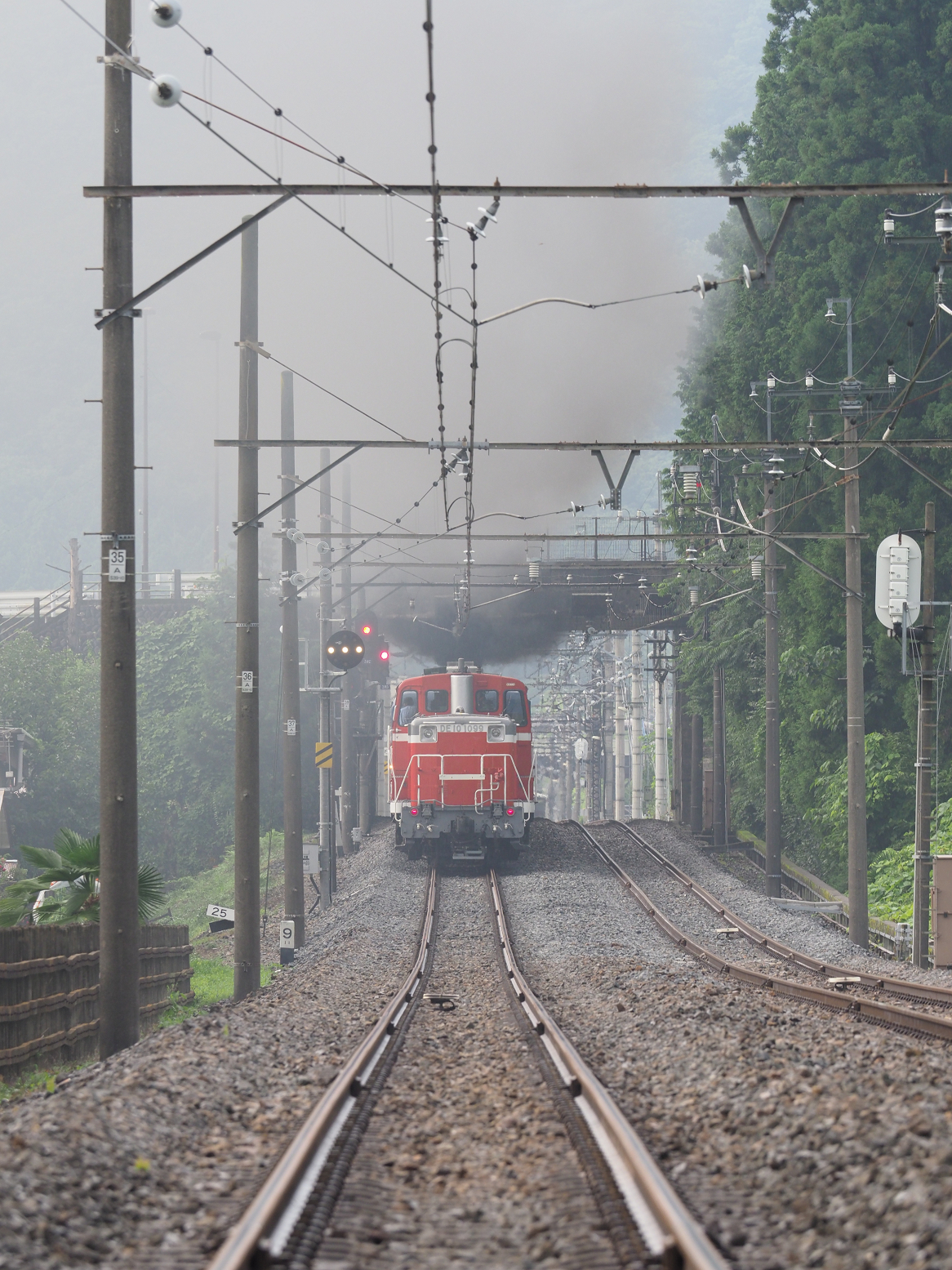 P7140604.jpg