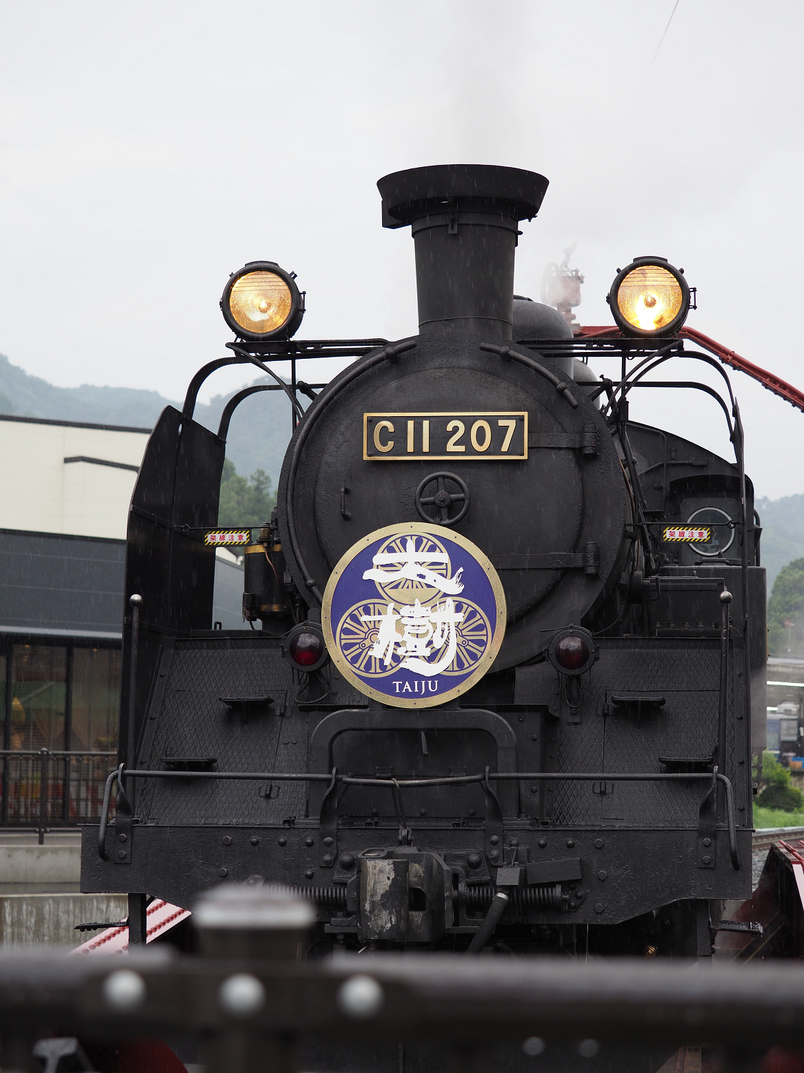 P7140641.jpg