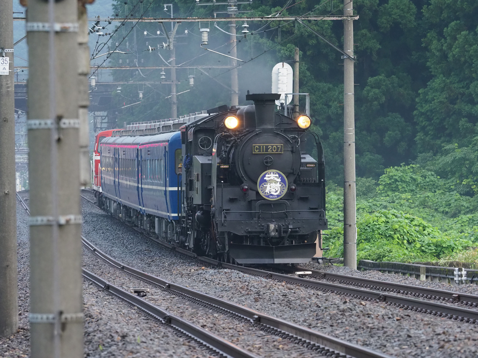 P7140677.jpg
