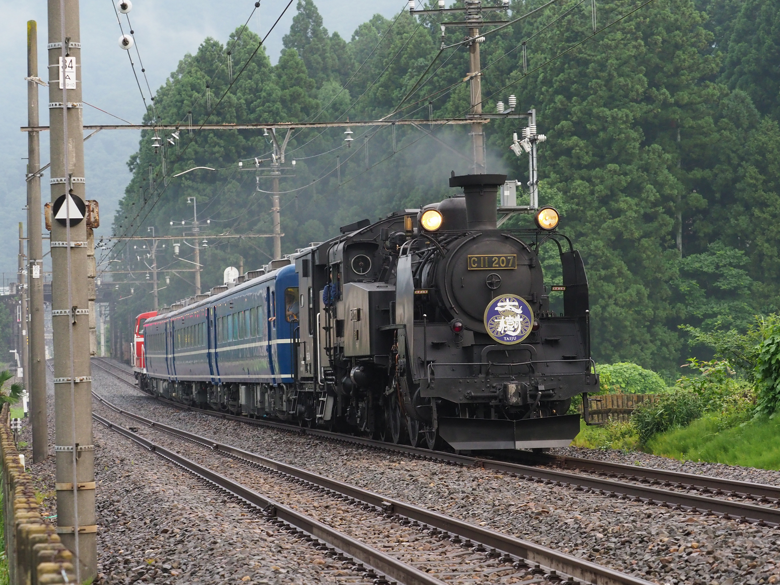 P7140699.jpg