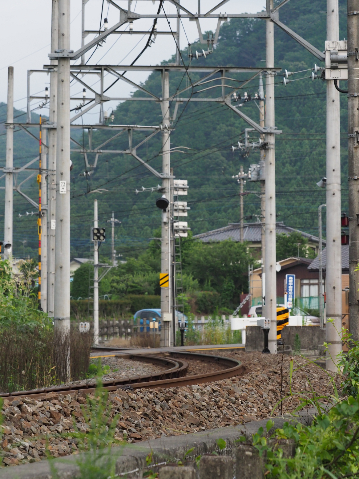 P7140750.jpg
