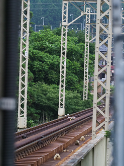 P7140752_thumb.png