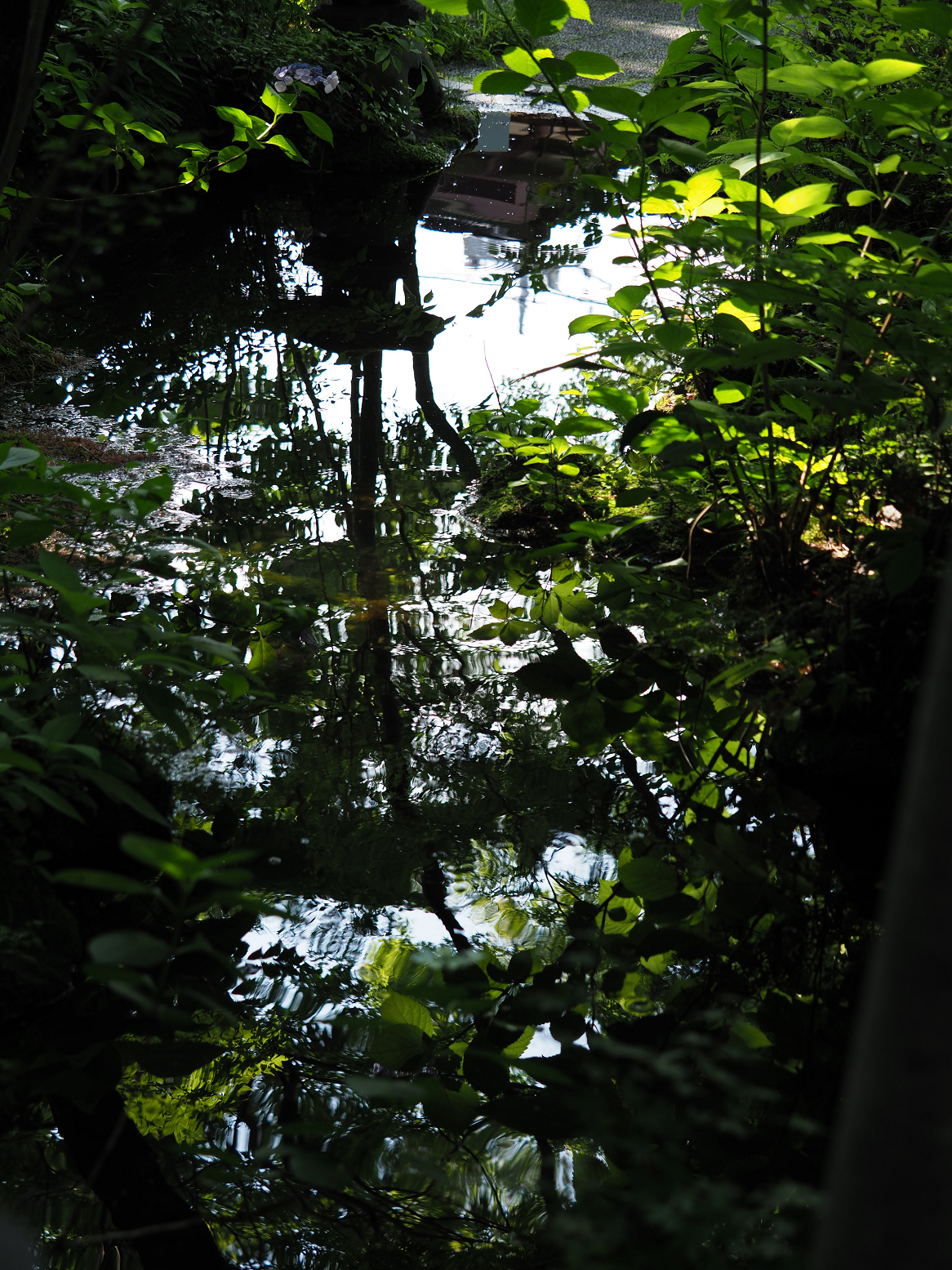 P7150780.jpg