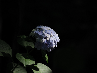 P7150788_thumb.png