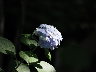 P7150789_thumb.png