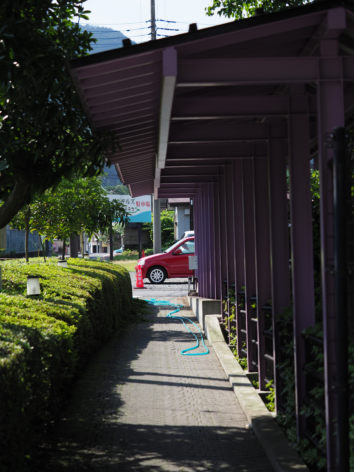P7150798.jpg