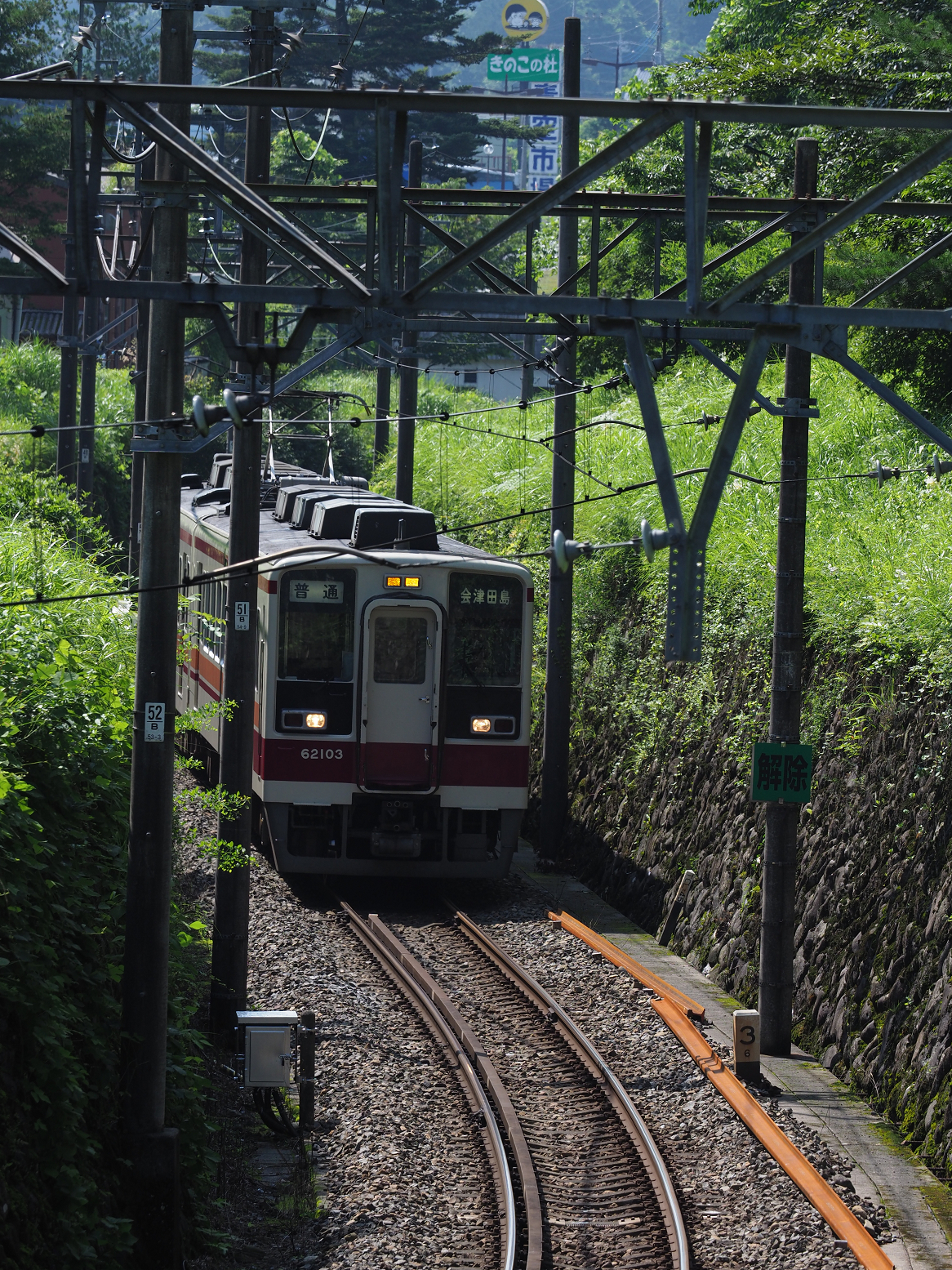 P7150802.jpg