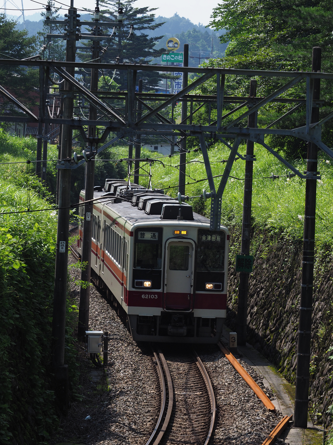 P7150803.jpg