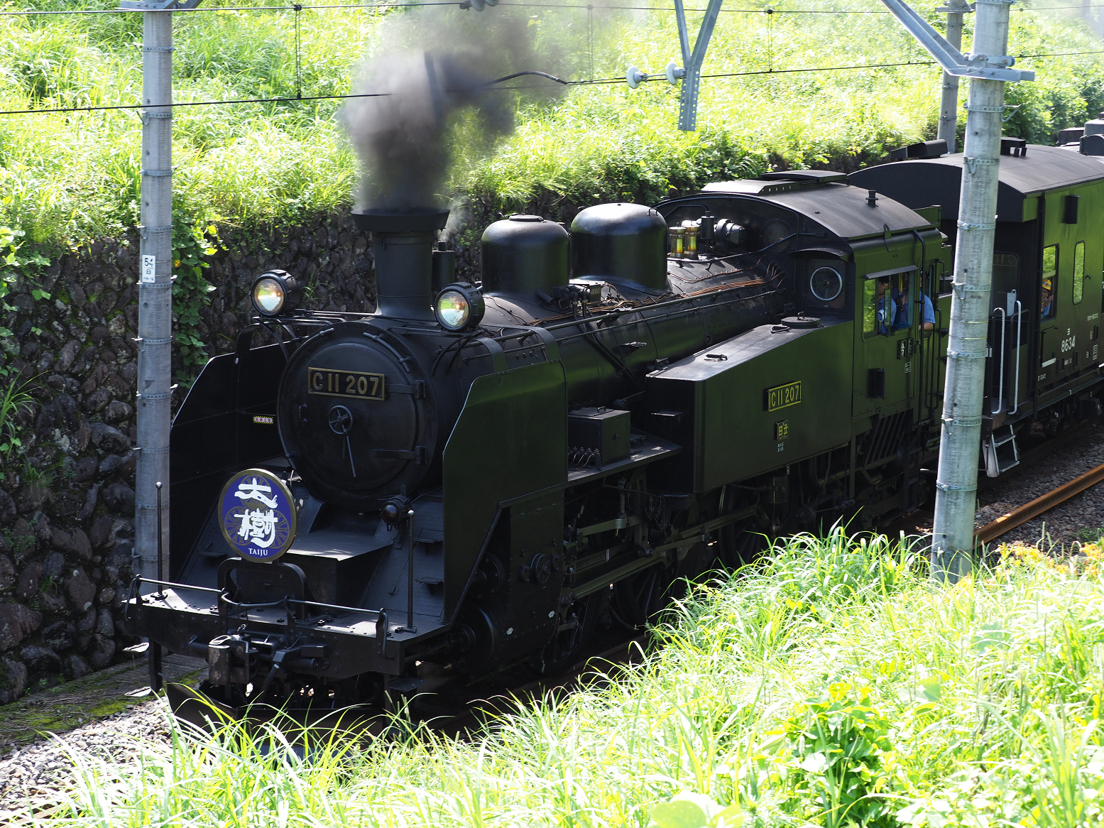 P7150859.jpg