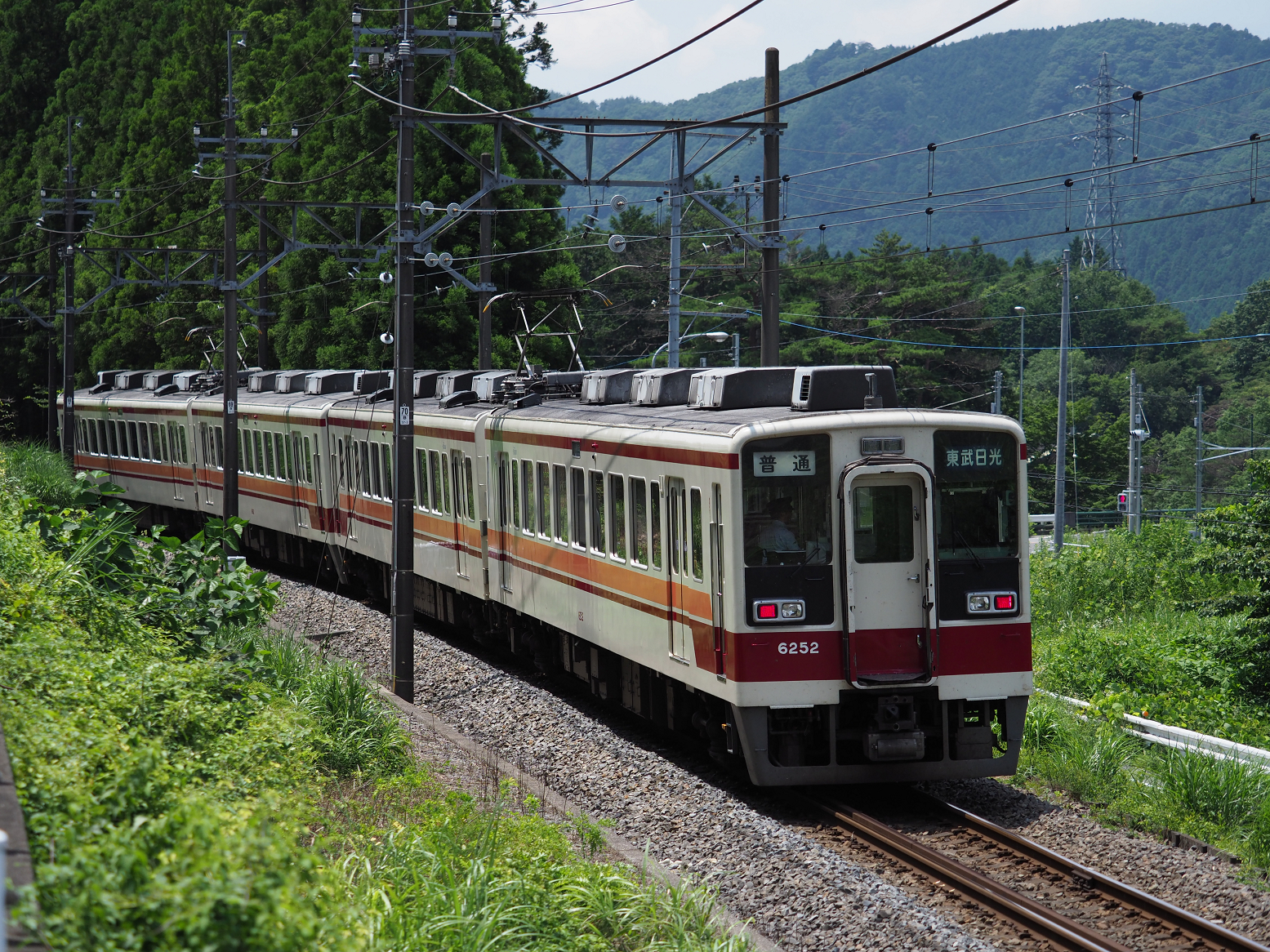 P7150943.jpg