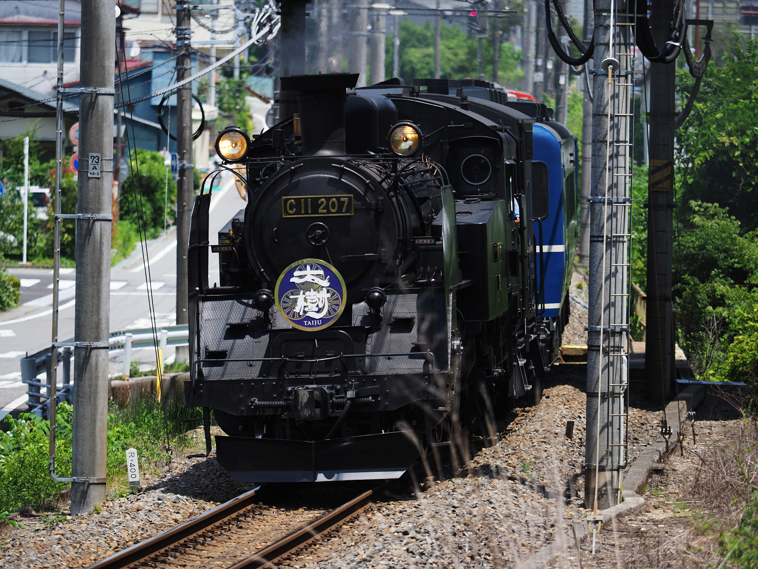 P7150994.jpg