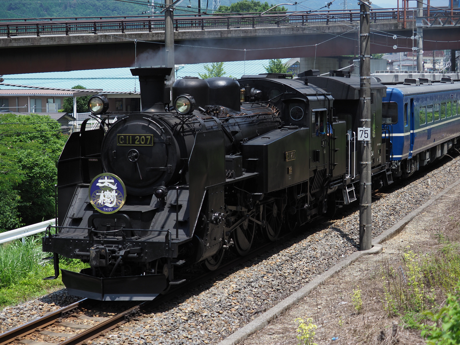 P7151005.jpg