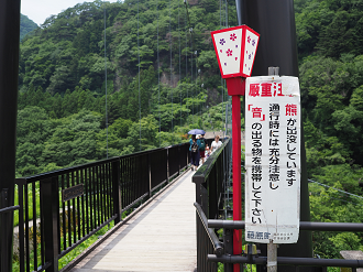 P7151054_thumb.png