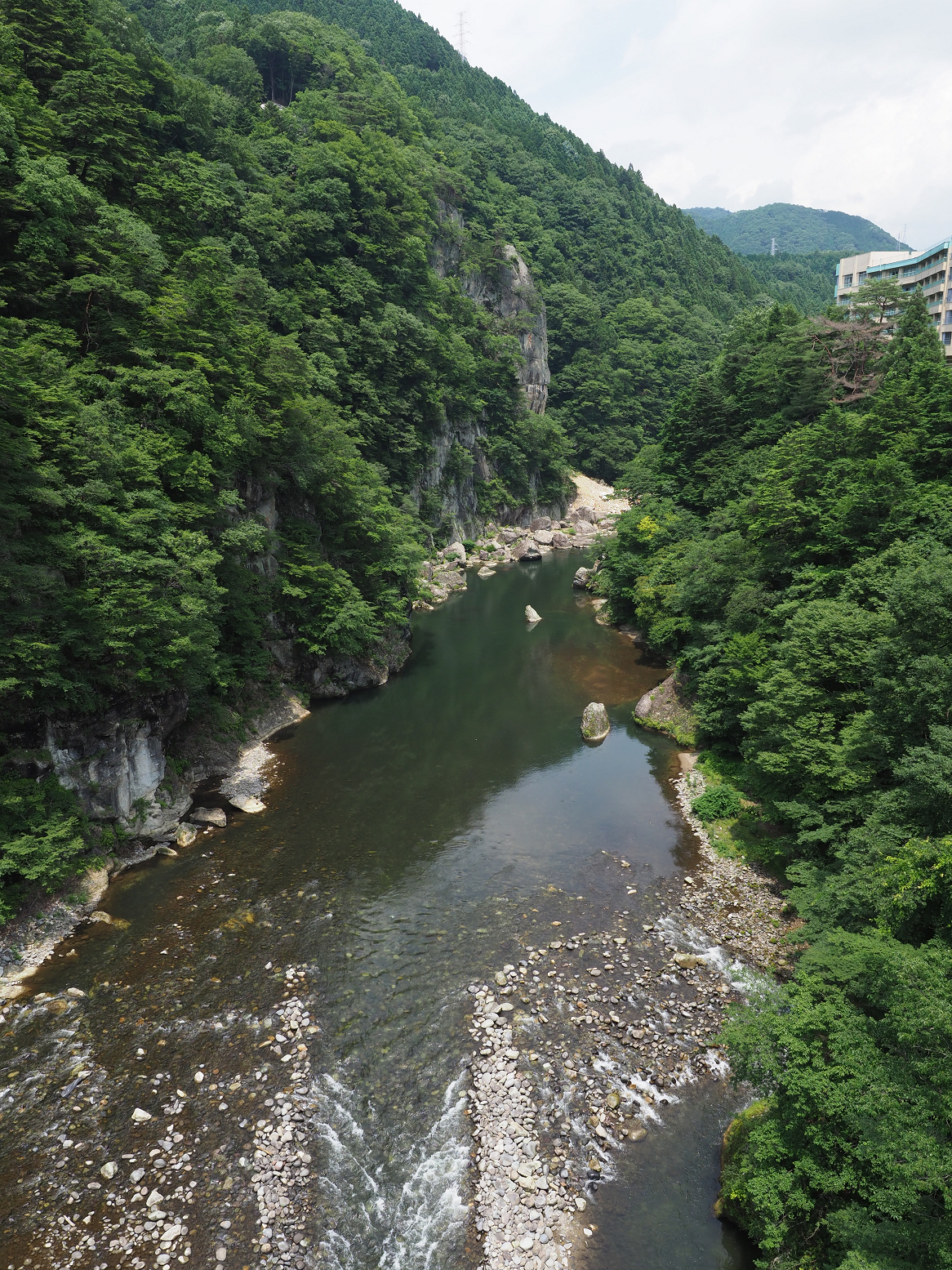 P7151059.jpg