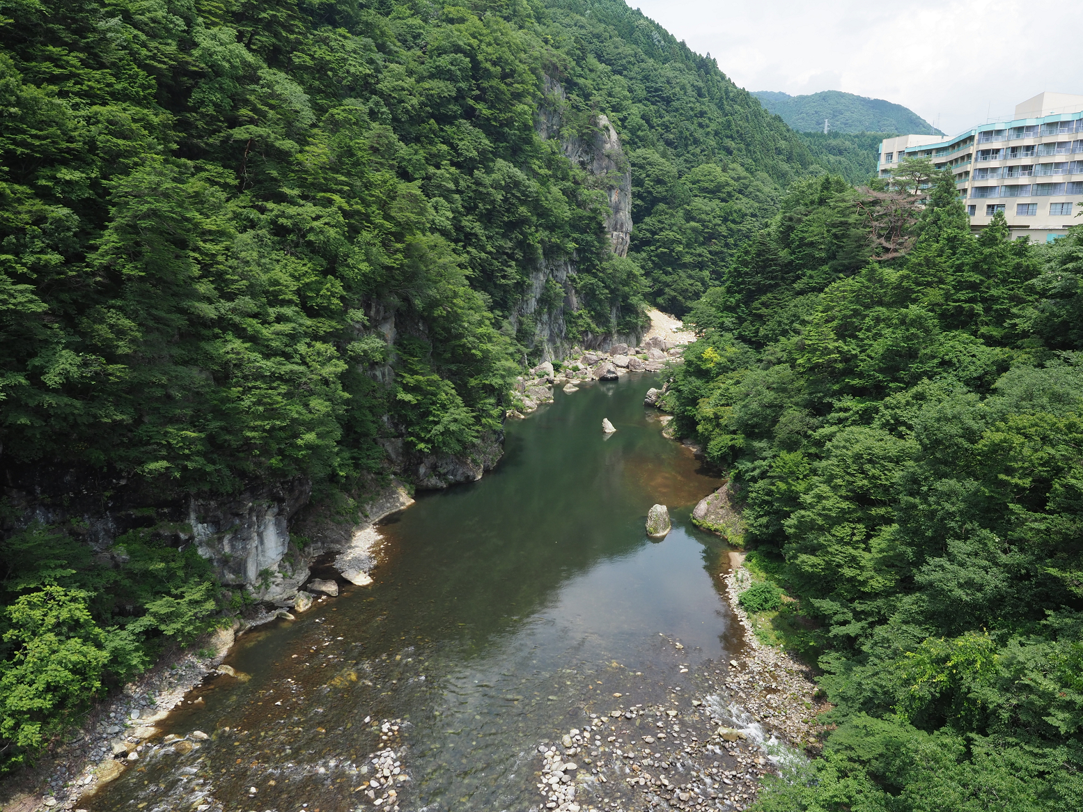 P7151060.jpg