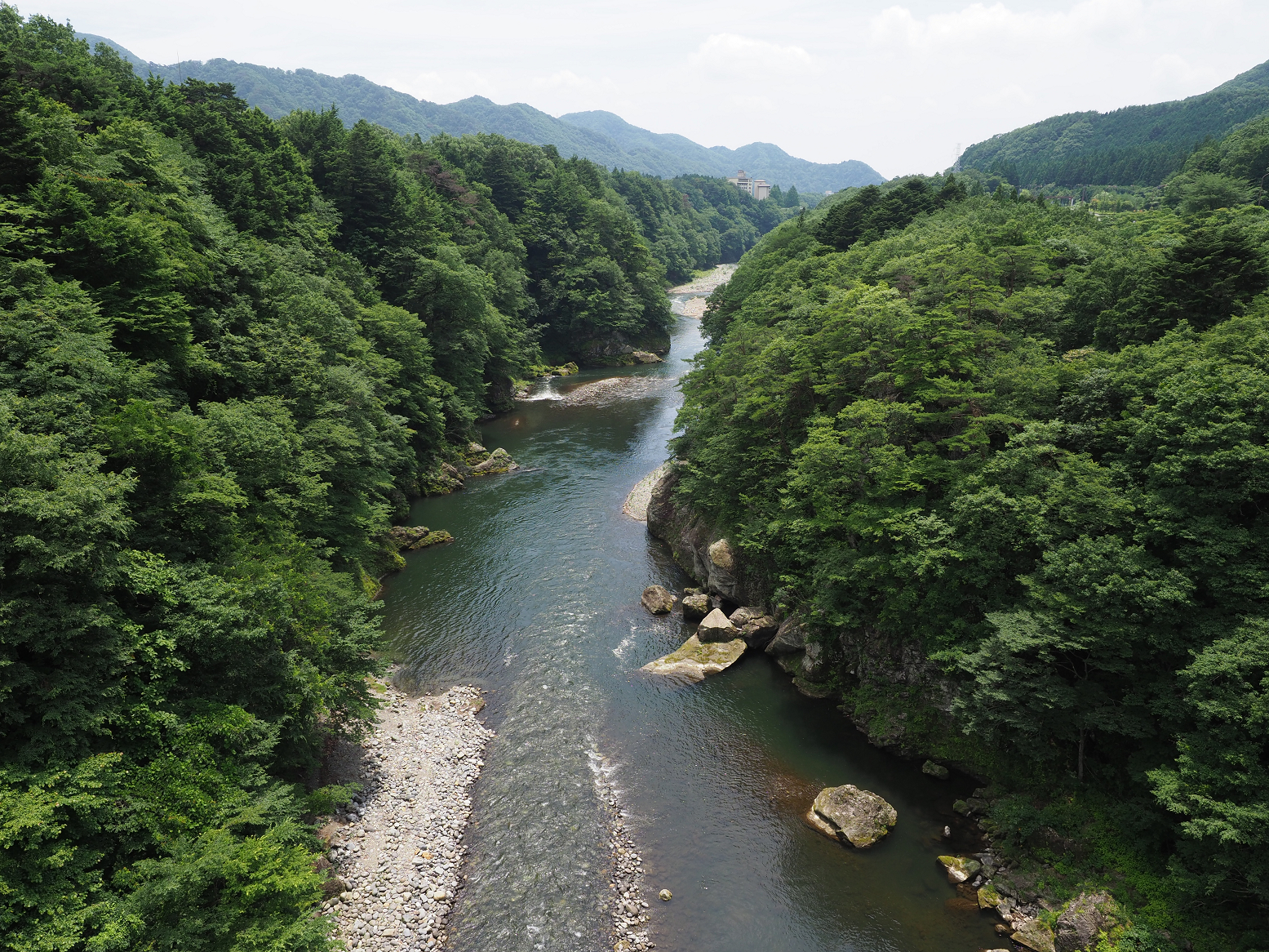 P7151064.jpg