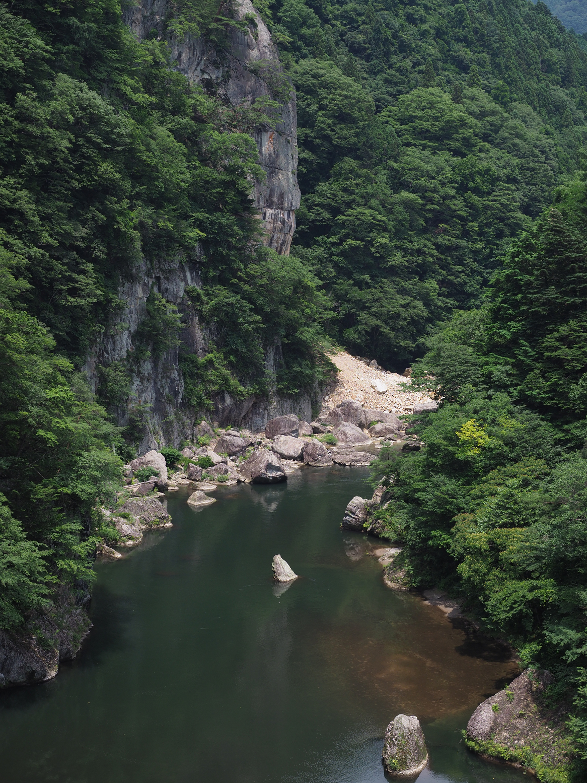 P7151074.jpg