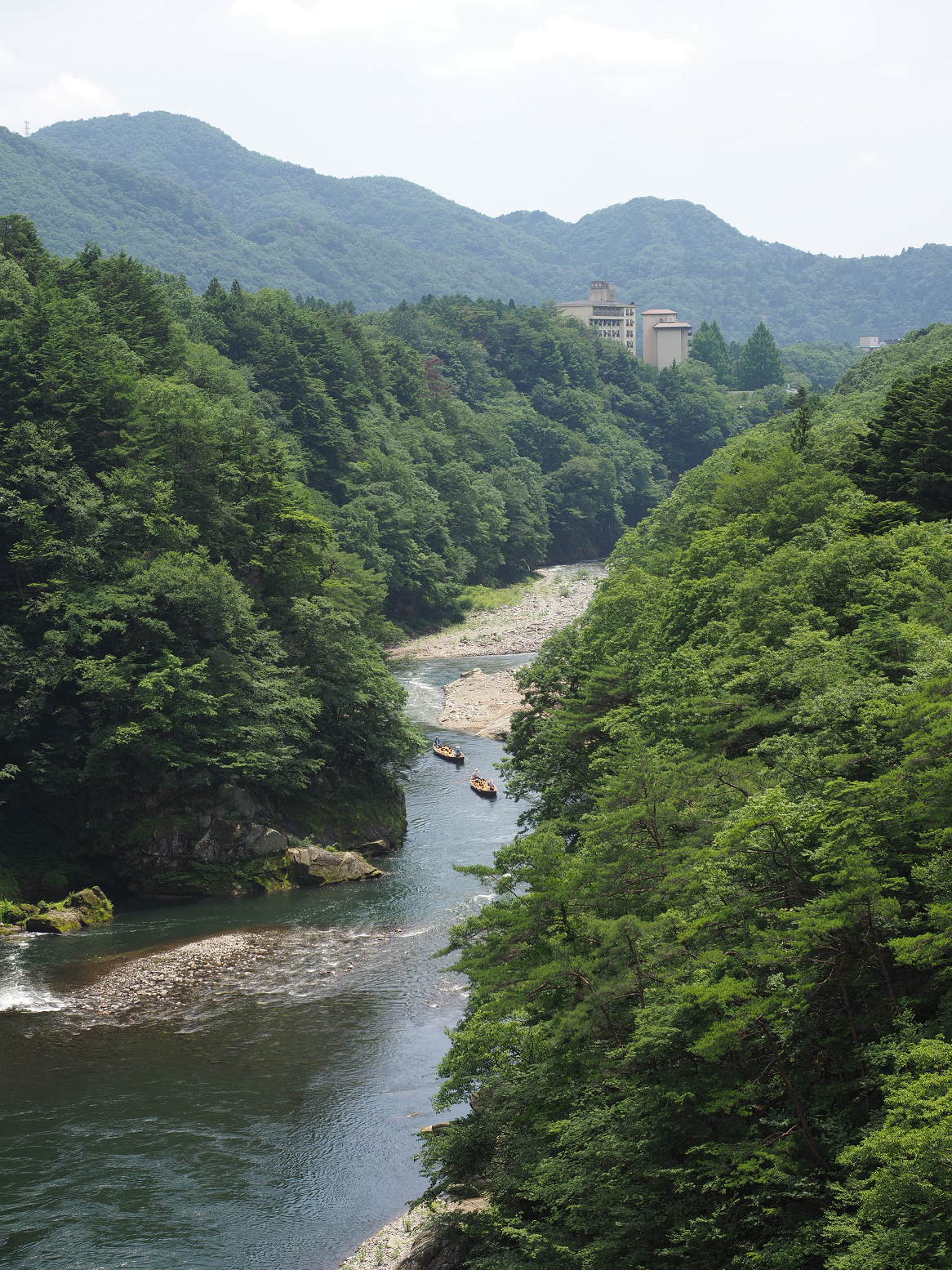 P7151111.jpg