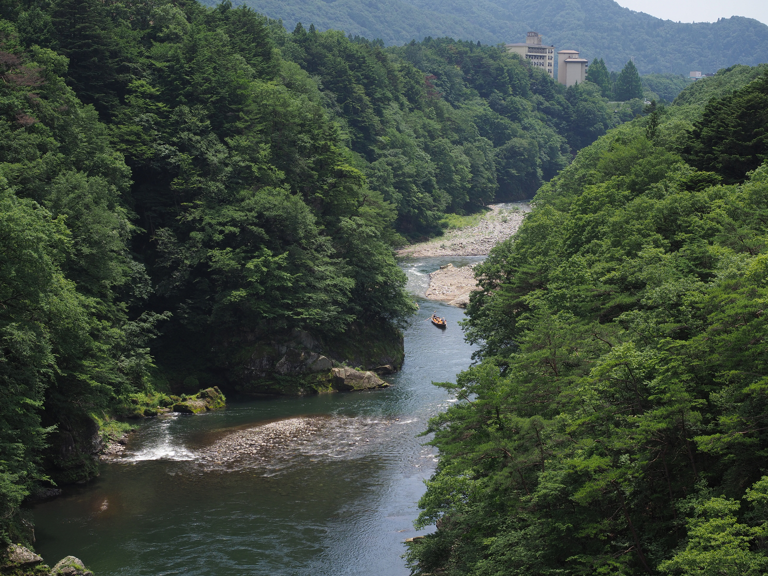 P7151113.jpg