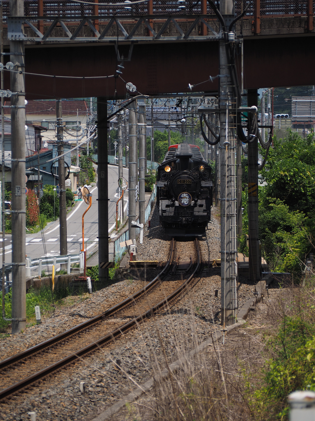 P7150137.jpg