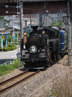 P7150151_thumb.png