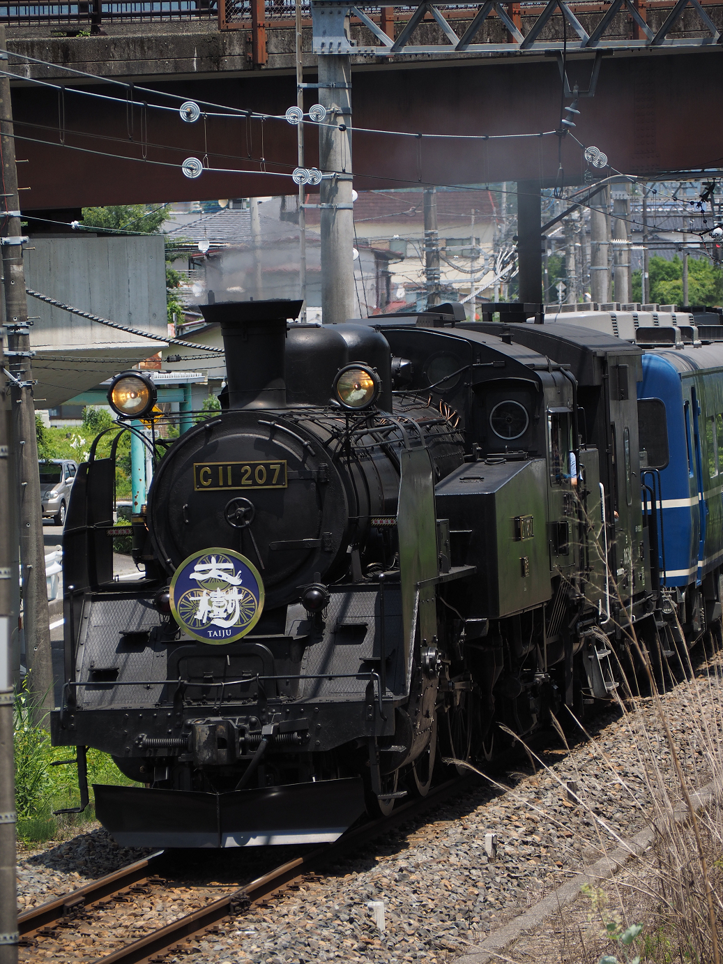 P7150164.jpg