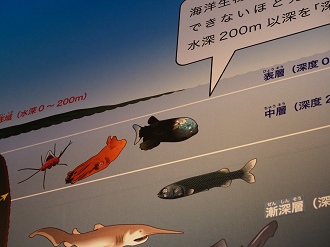 P9020022_thumb.png