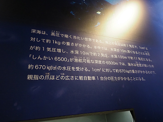 P9020039_thumb.png