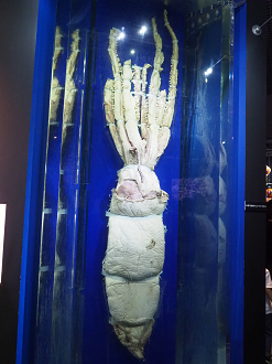 P9020057_thumb.png