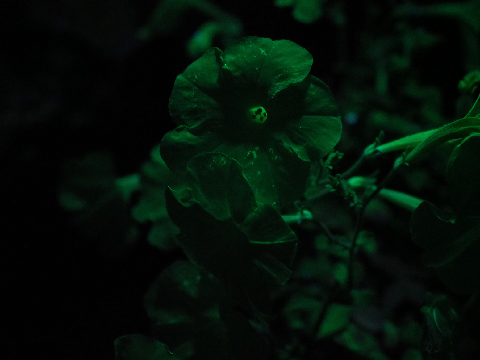 P9020100.jpg
