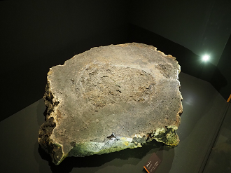 P9020102_thumb.png