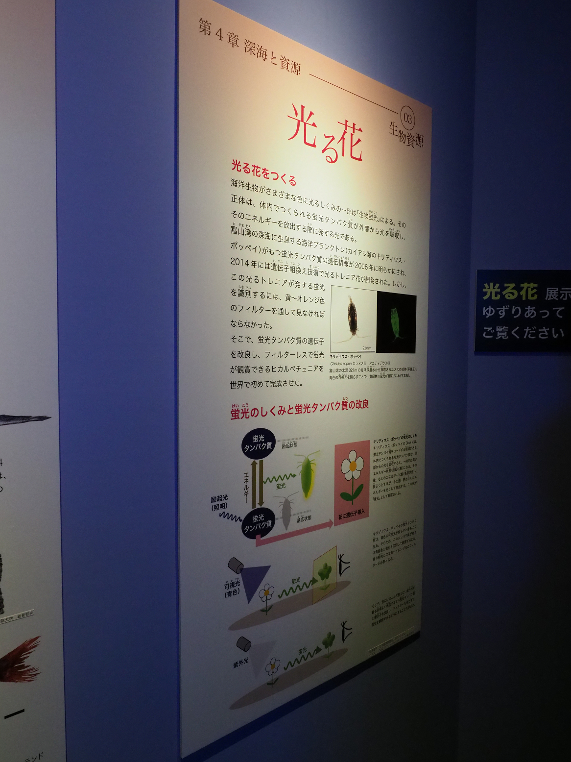 P9020103.jpg