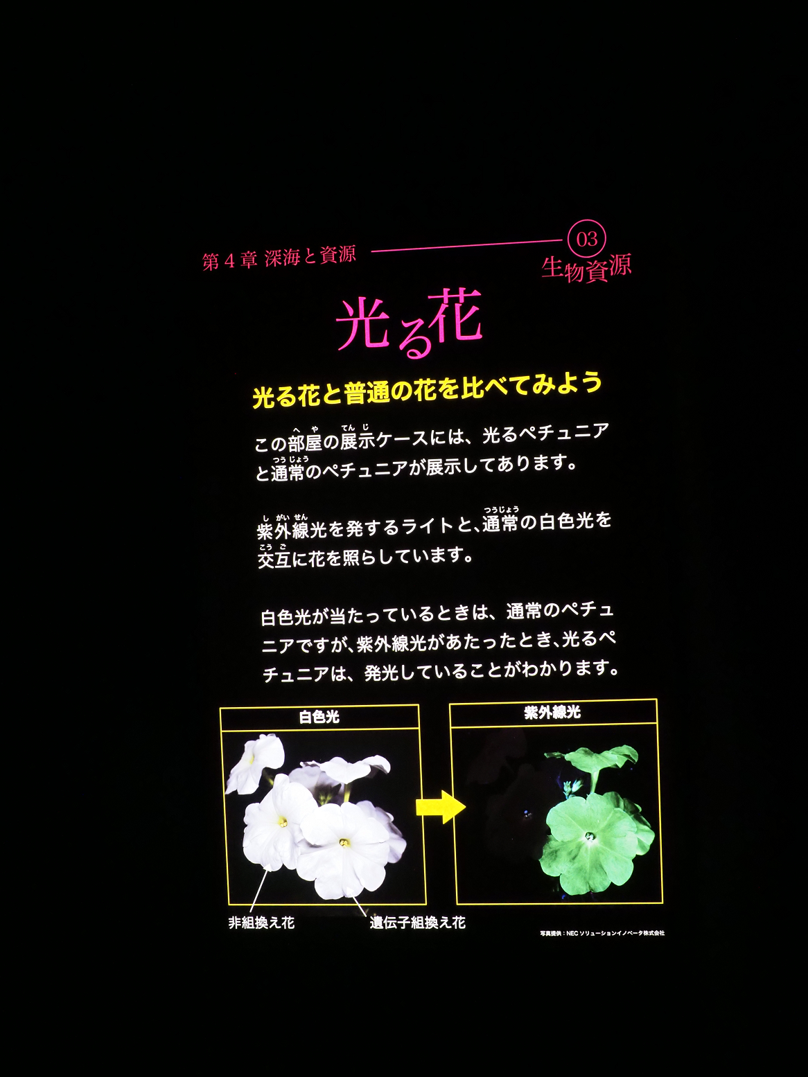 P9020106.jpg