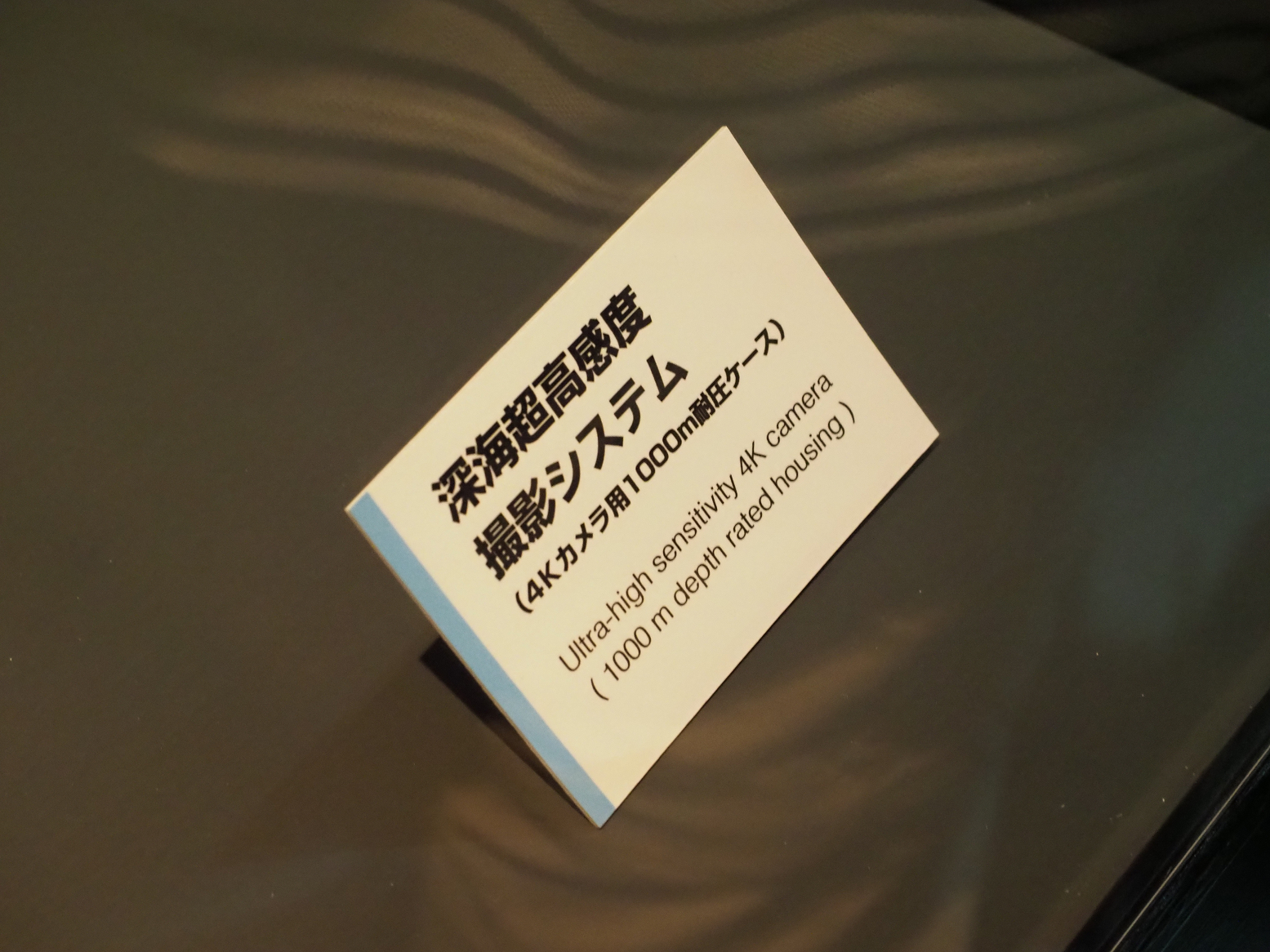 P9020114.jpg