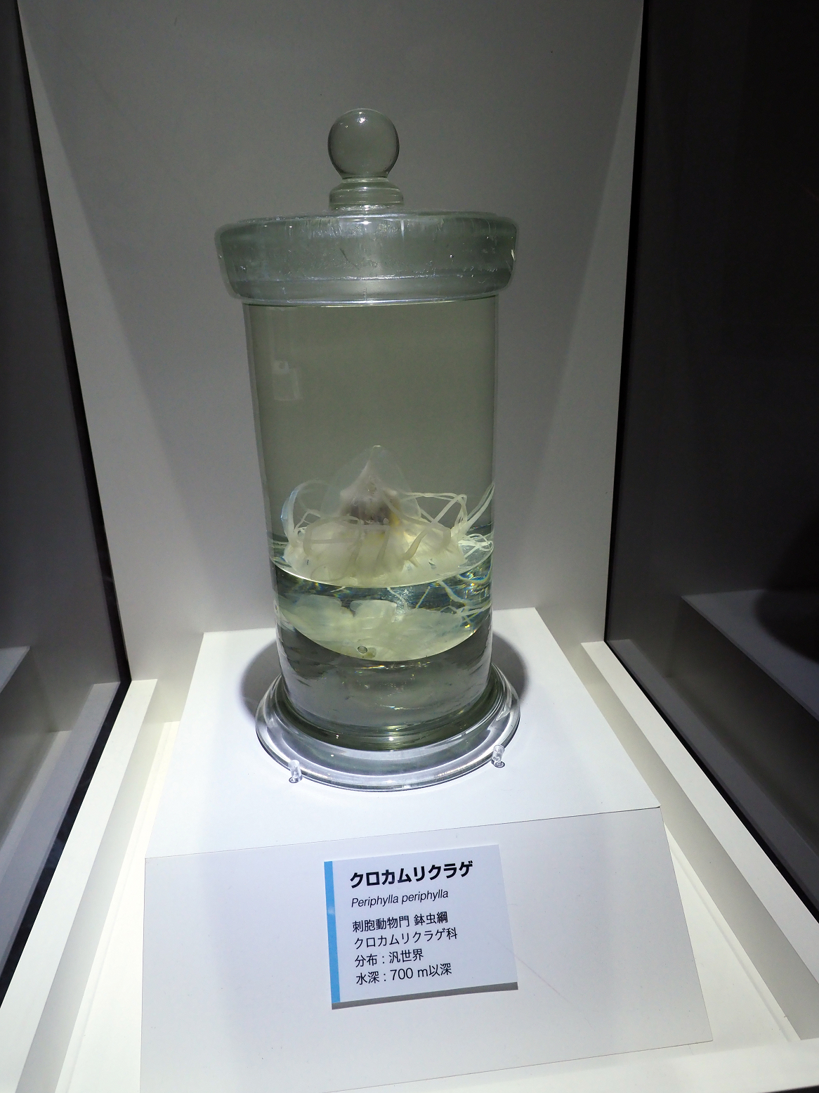 P9020128.jpg