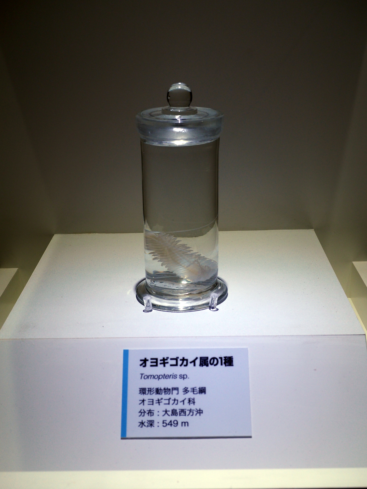 P9020131.jpg