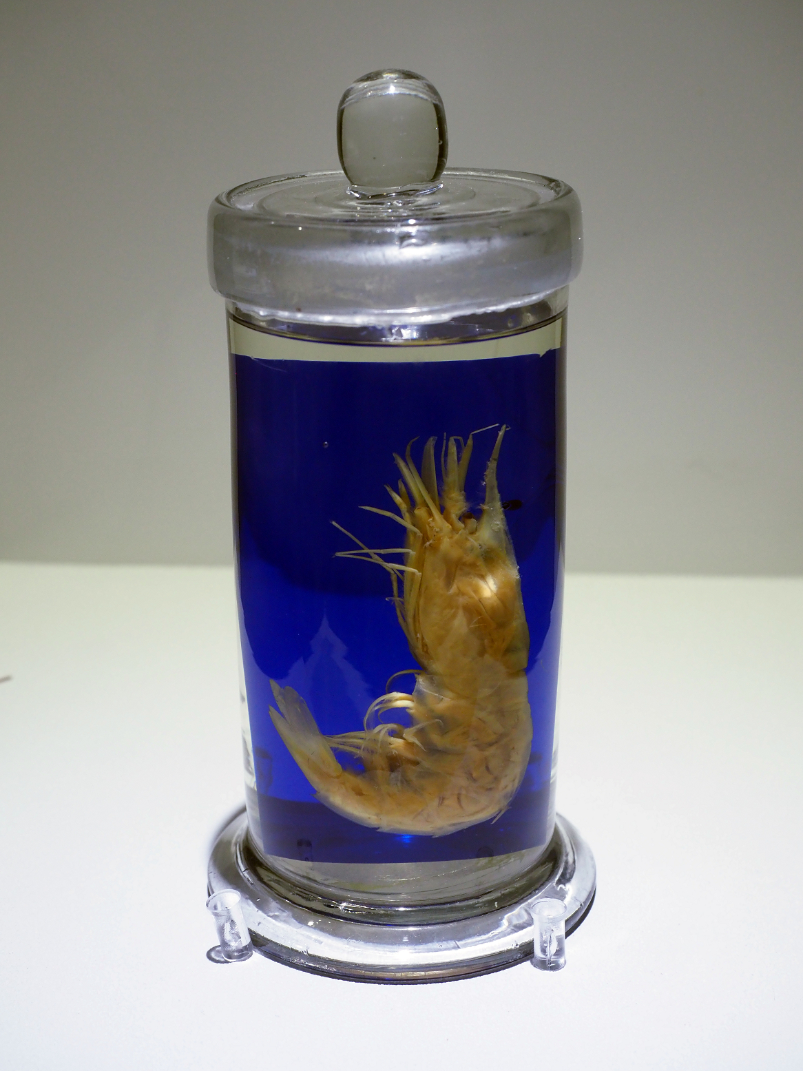 P9020134.jpg