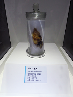 P9020137_thumb.png