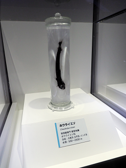 P9020142_thumb.png
